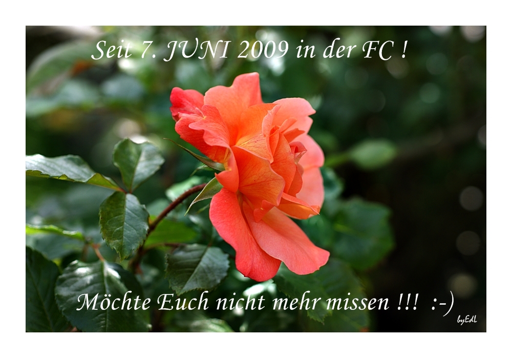 Danke,an Euch Alle....