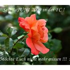 Danke,an Euch Alle....