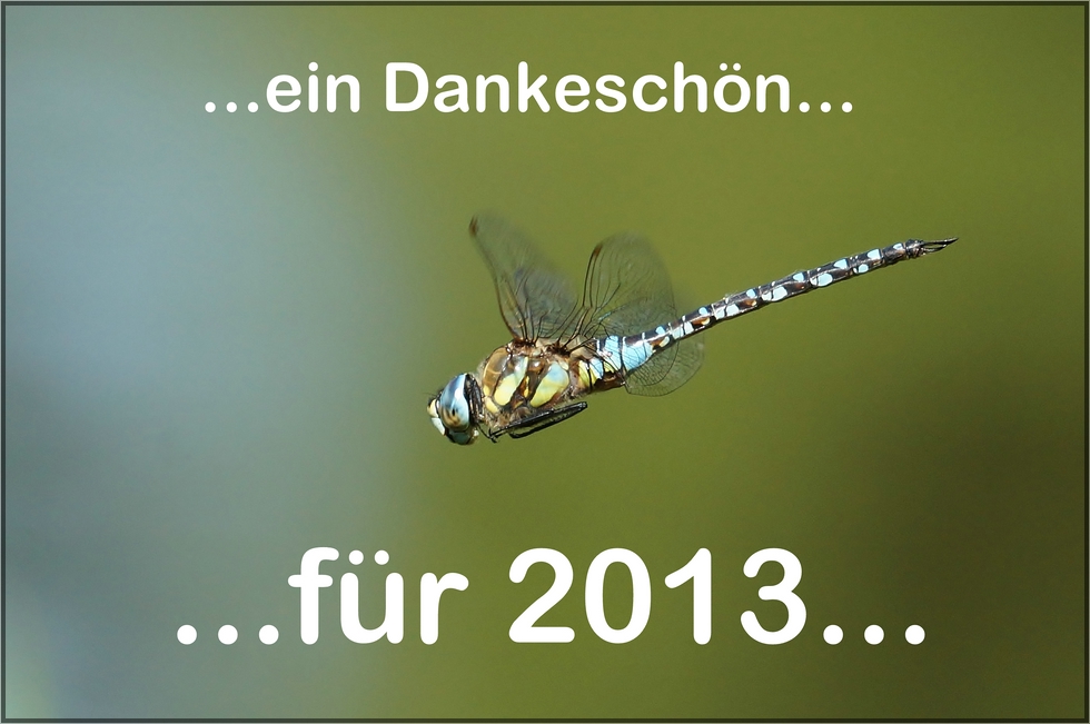 ---DANKESCHÖN---