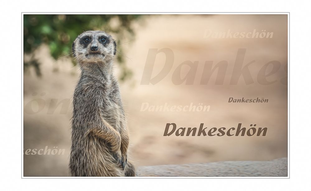 Dankeschön