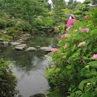 Danmark - Japanese garden