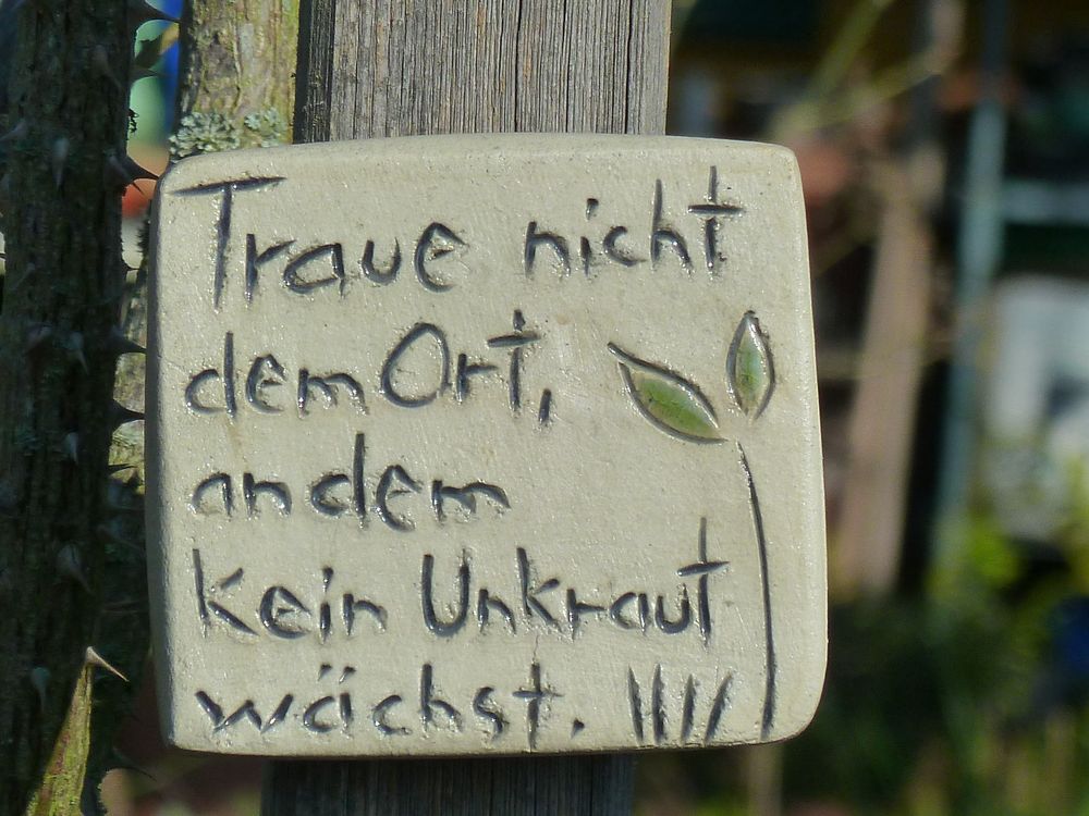 Dann ist bei uns alles in Ordnung... Foto & Bild spezial