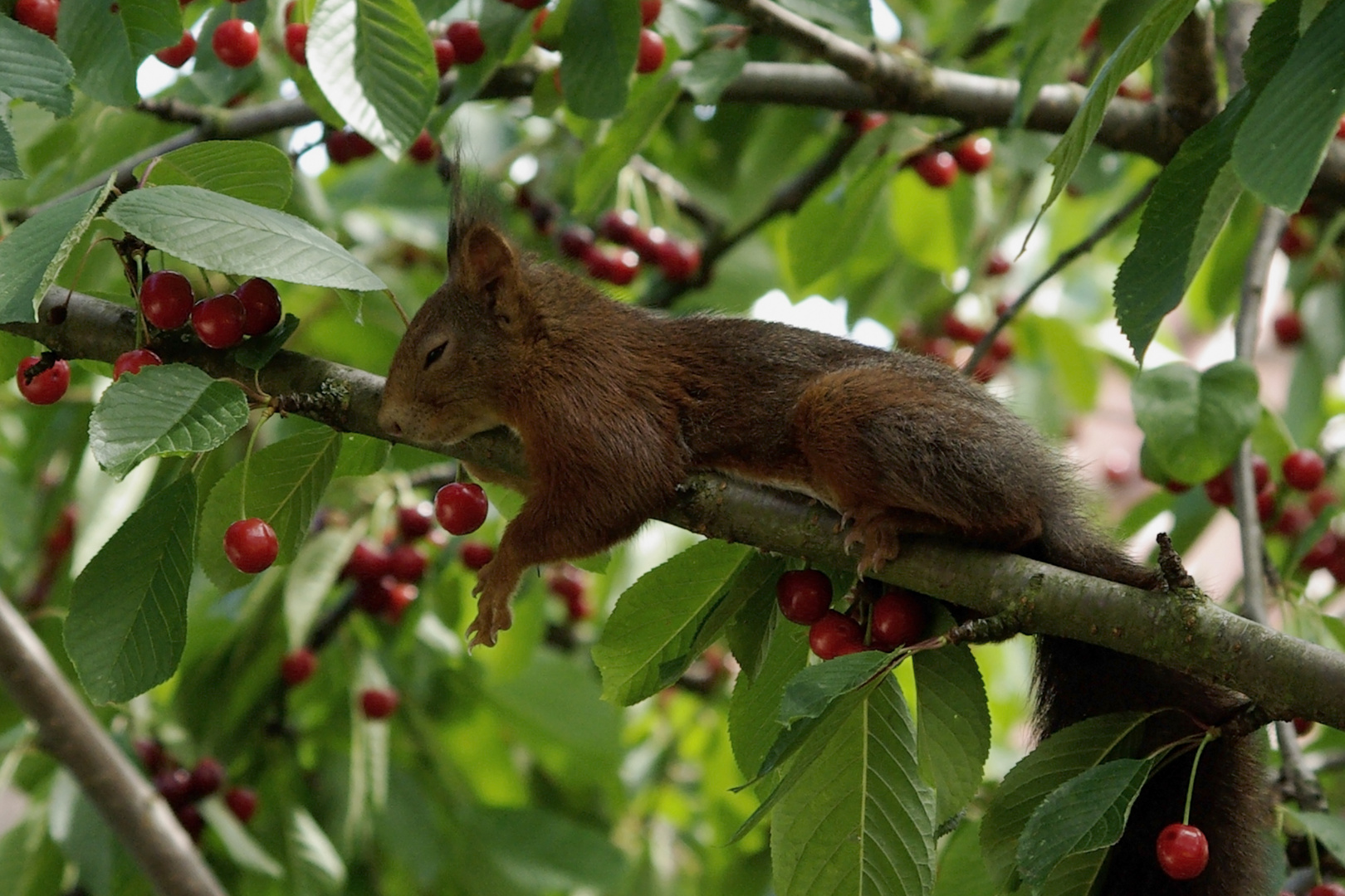 ...dann ist*s Zeit zu relaxen .....