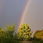 Dann Kam Ein Regenbogen