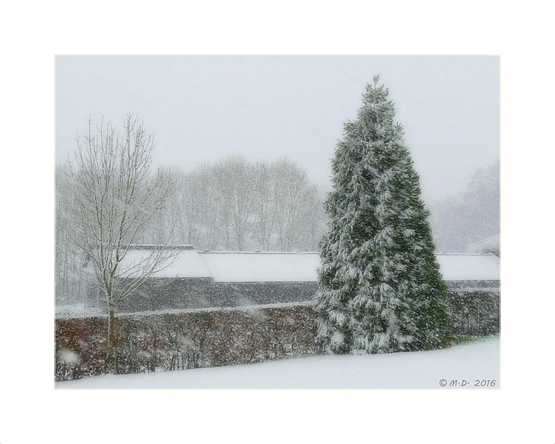 Dann kam er doch noch...der erste Schnee....