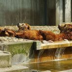 Dann lassen wir uns mal die Sonne auf den Bauch scheinen !