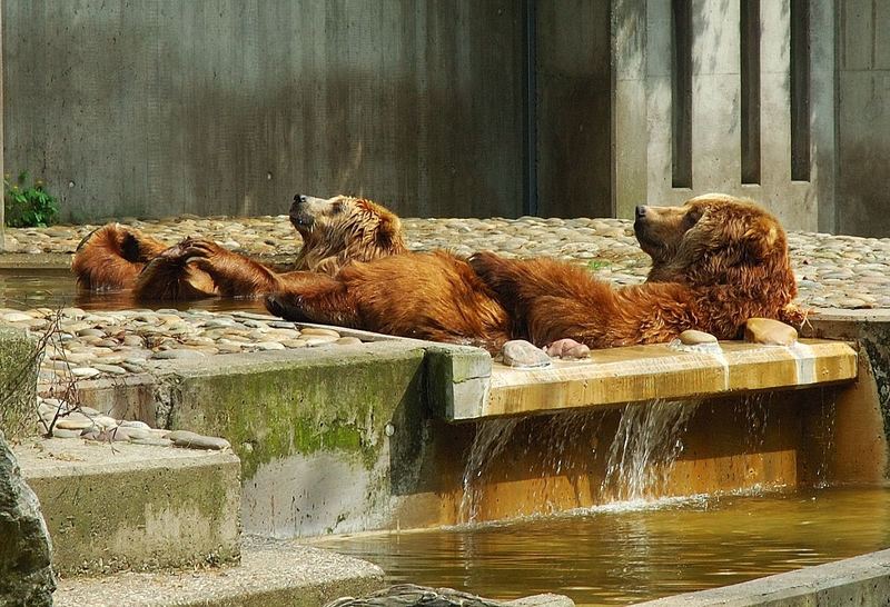 Dann lassen wir uns mal die Sonne auf den Bauch scheinen !