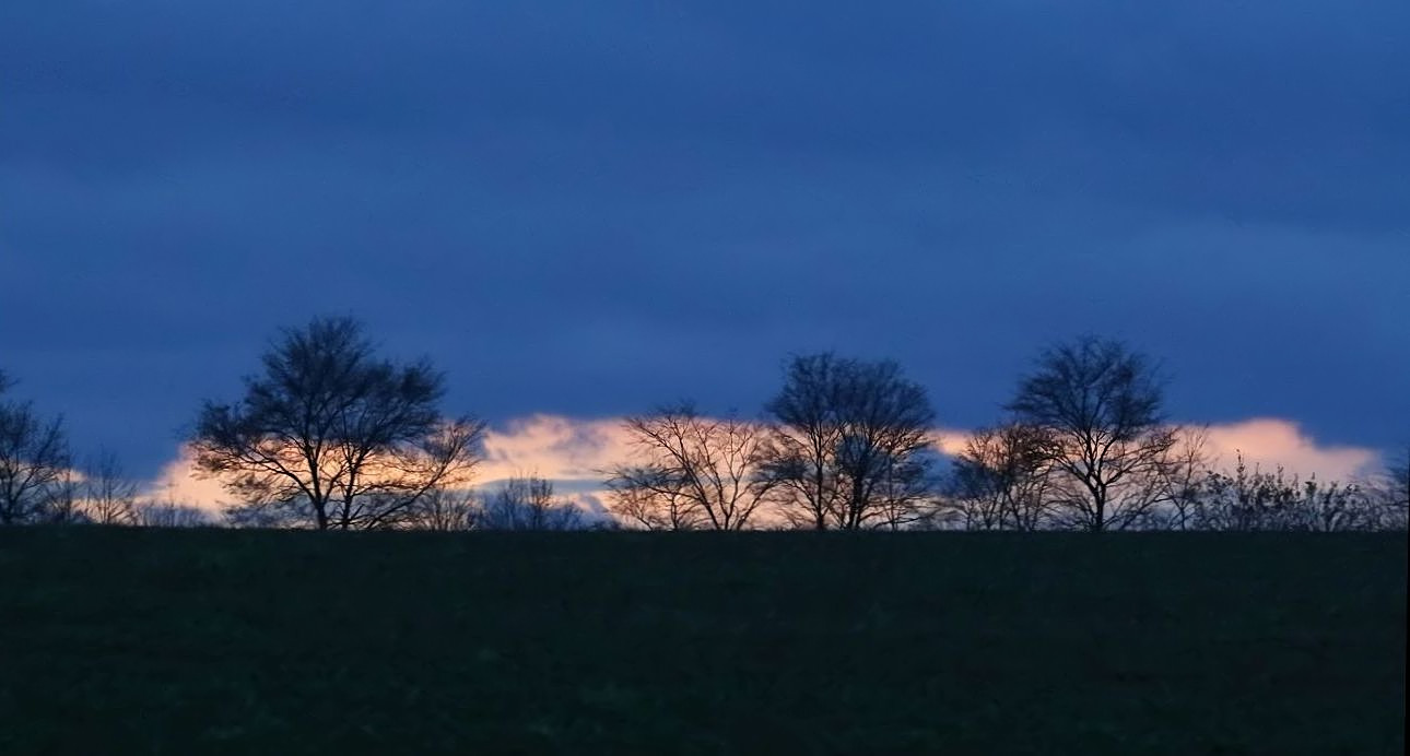 "Dann wird's Nacht"