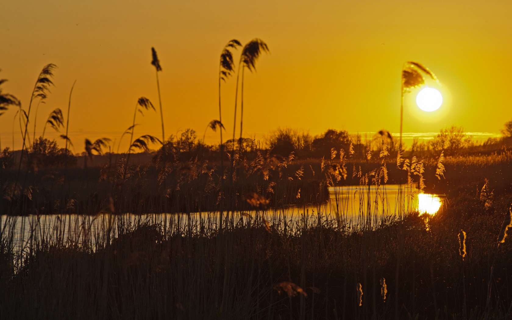 Dannauer See bei Sonnenuntergang (2013)