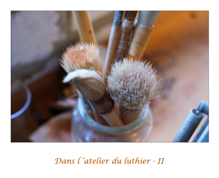 Dans l atelier du luthier - II