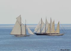 dans la baie de Monaco