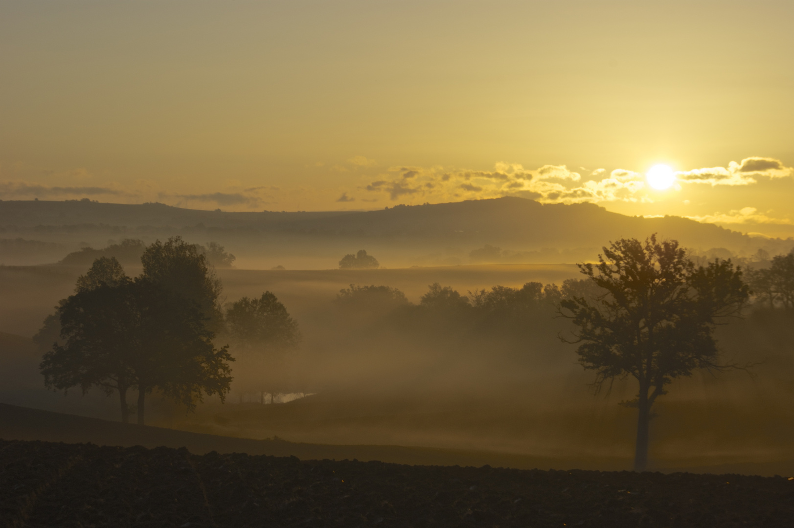 Dans la brume du matin