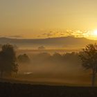 Dans la brume du matin