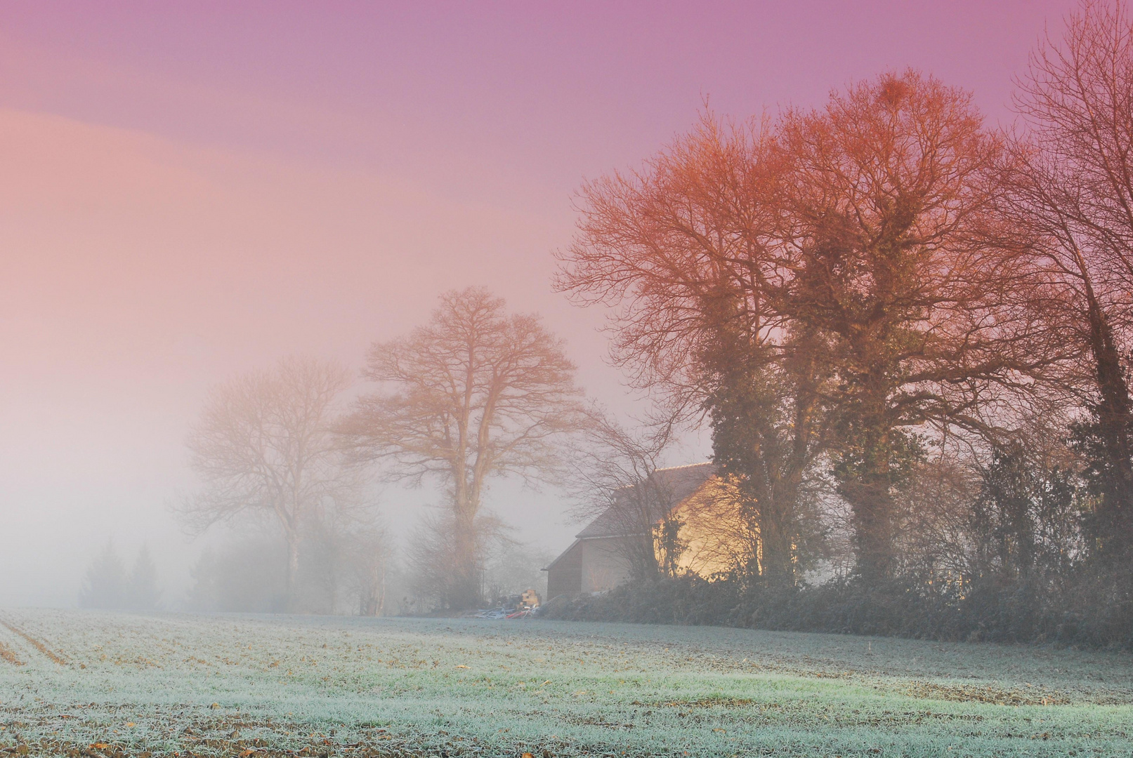 Dans la brume matinale