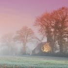 Dans la brume matinale