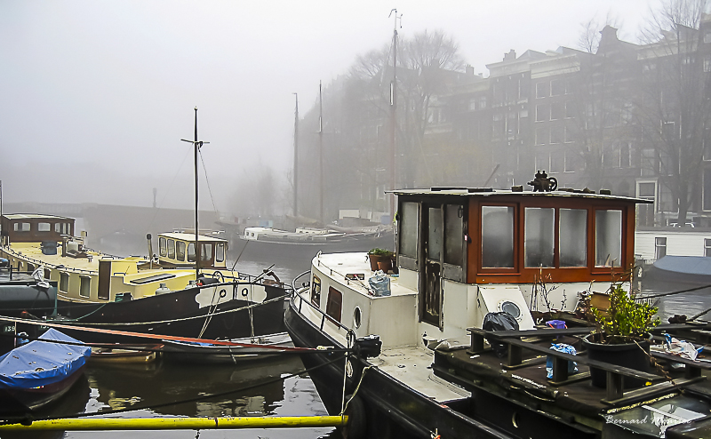 Dans la brume matinale...