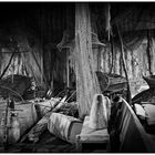 Dans la cabane du vieux pêcheur