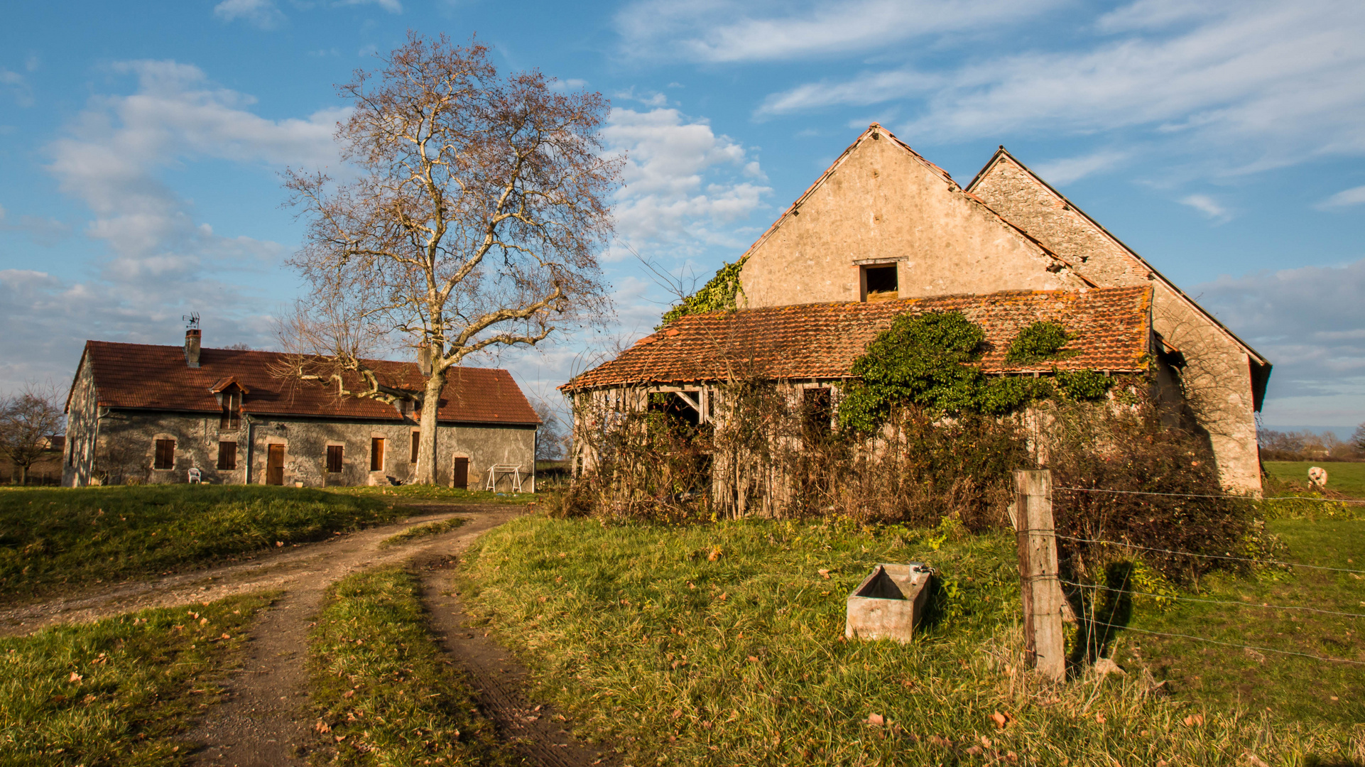 Dans la campagne