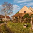 Dans la campagne