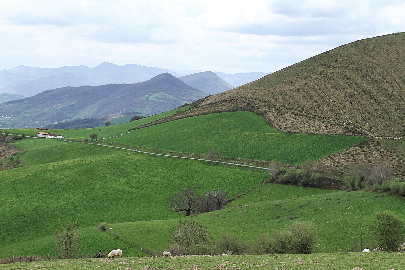 dans la campagne Basque !