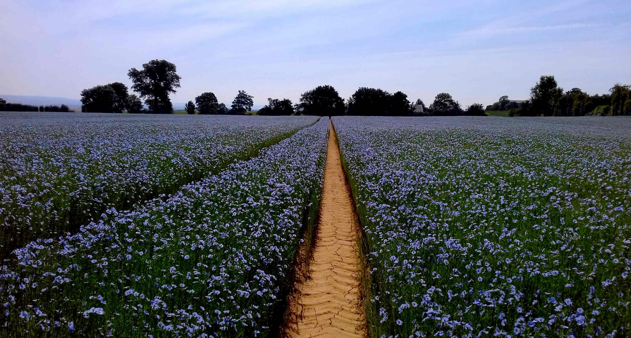 Dans la campagne Normande 