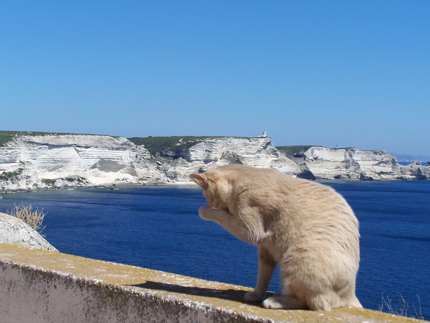 Dans la citadelle de Bonifacio (Corse), le chemin de ronde médiéval