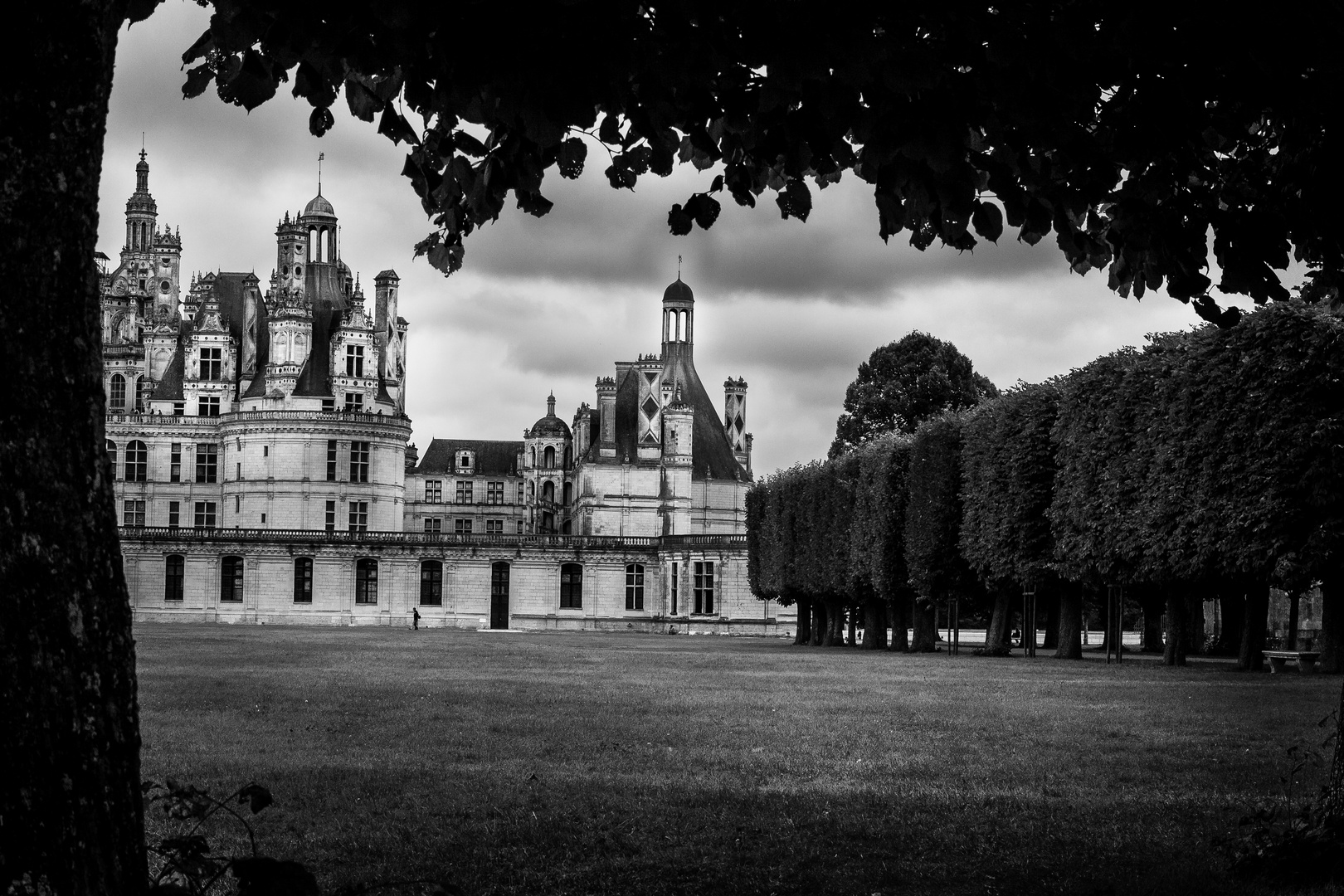 dans la cour du château