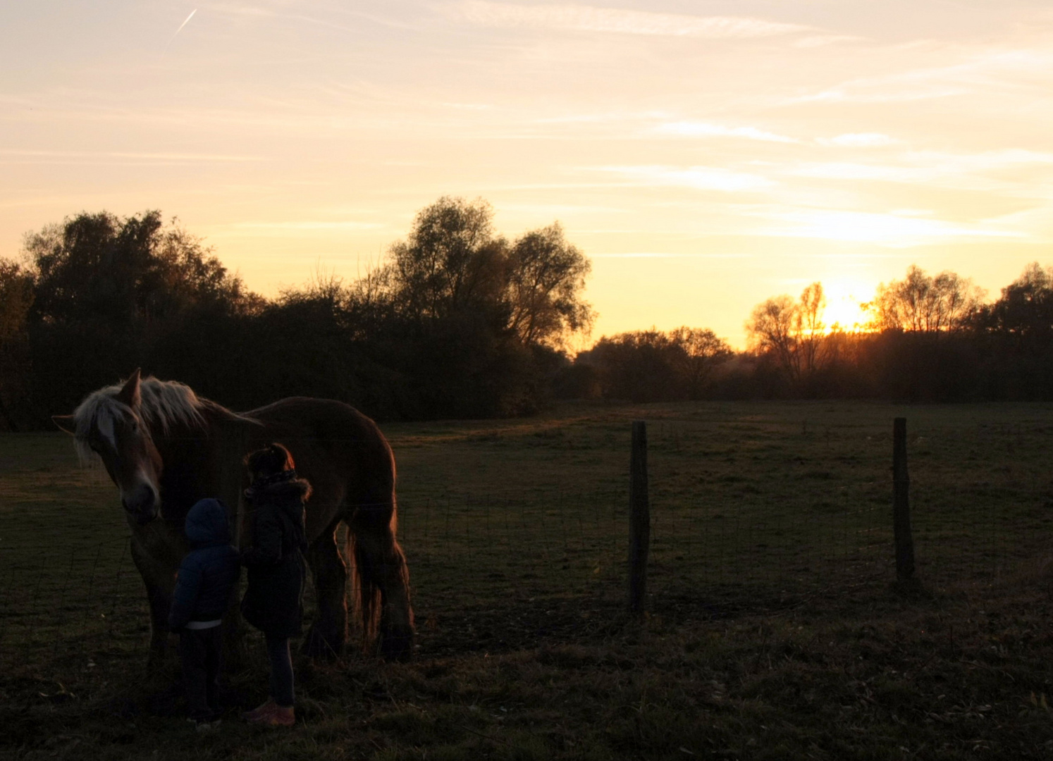 dans la douceur d'une fin d'après-midi