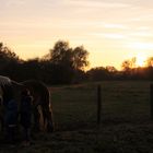 dans la douceur d'une fin d'après-midi