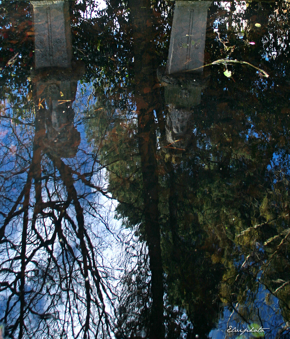 Dans la fontaine....