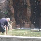 dans la fontaine