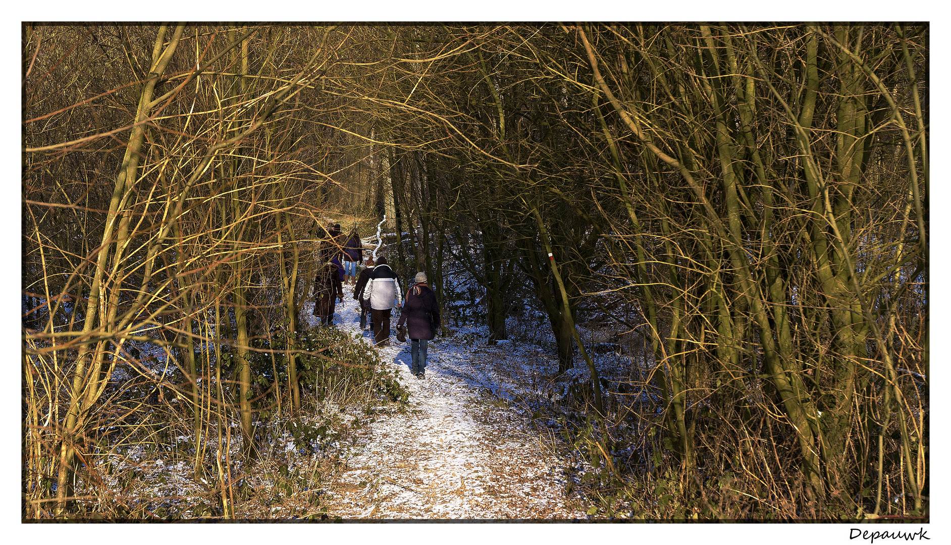 Dans la forêt avec la neige