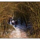 Dans la forêt avec la neige