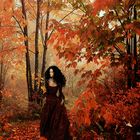Dans la forêt d'automne 