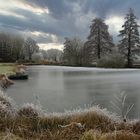 Dans la froideur de l'hiver ....