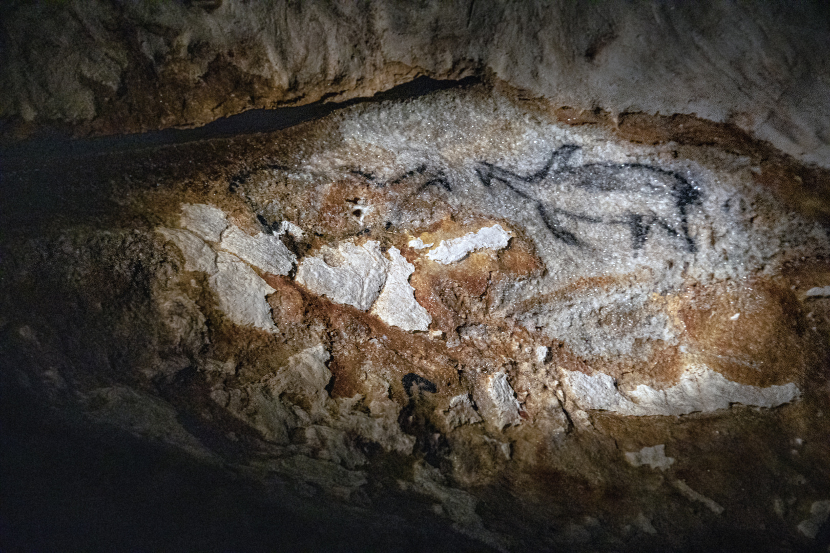 Dans la grotte Cosquer 2