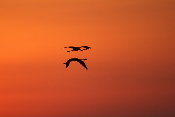 Dans la lumière ....