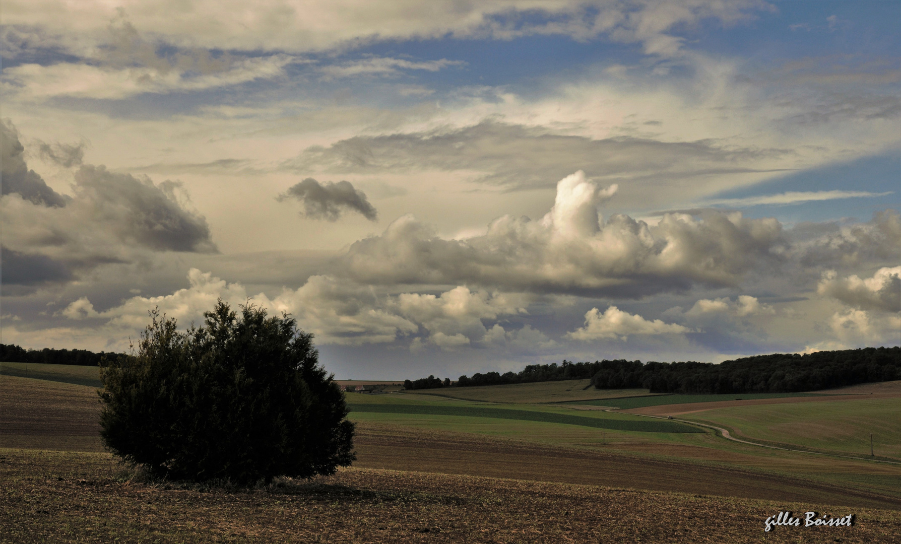 dans la lumière de septembre