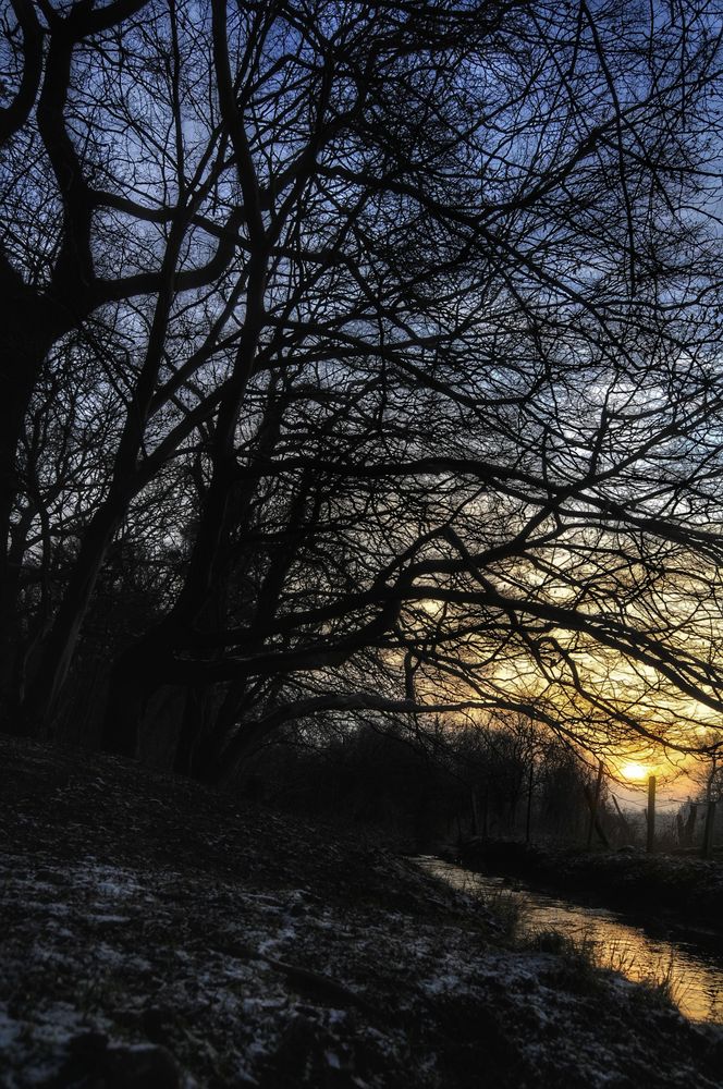 Dans la matinée sur le ruisseau