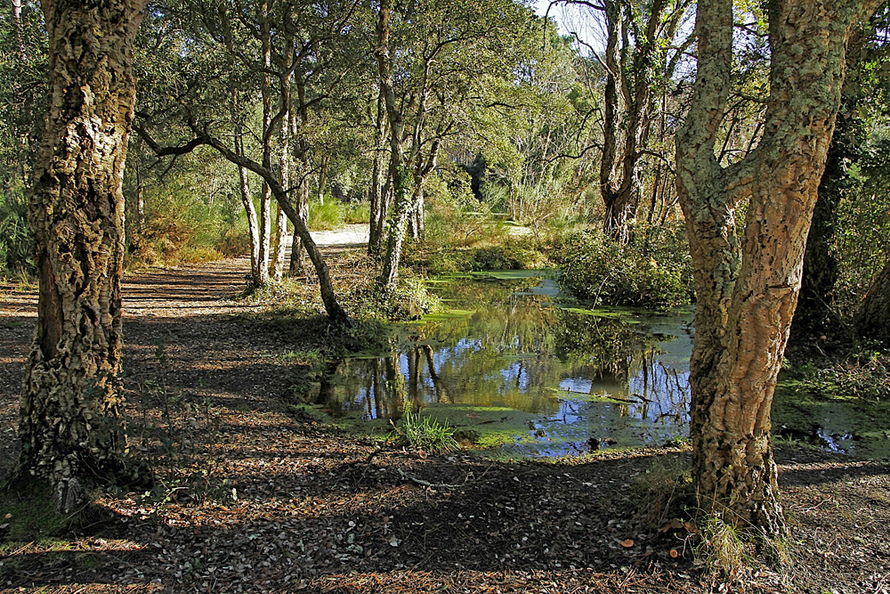 dans la nature !