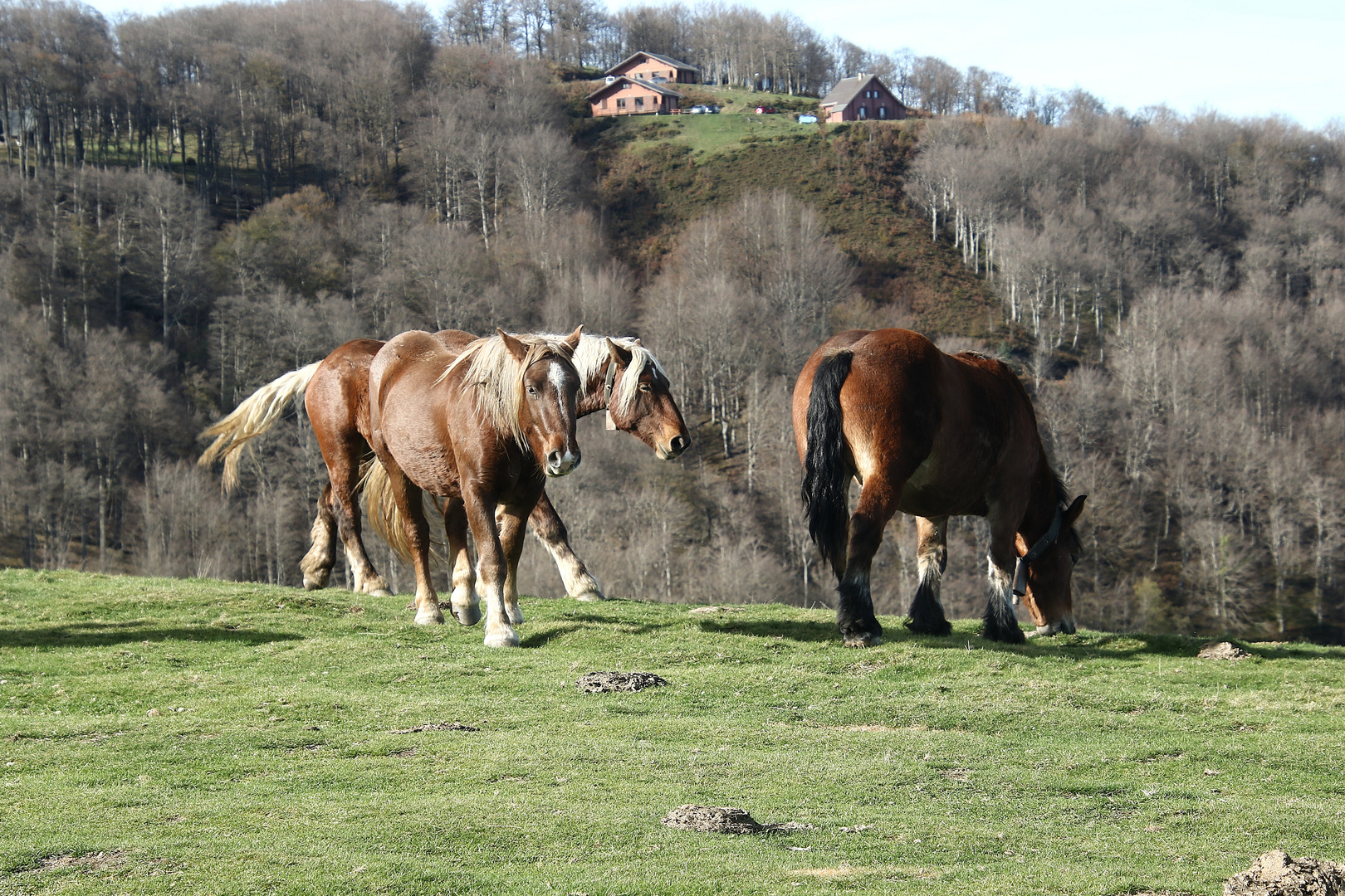 dans la nature !