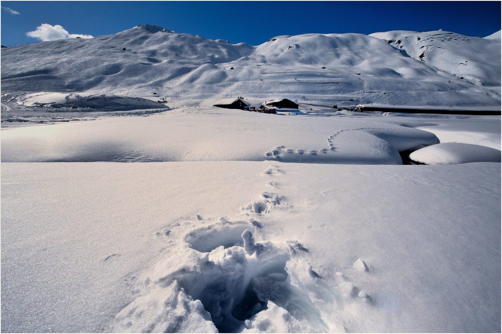 Dans la poudreuse