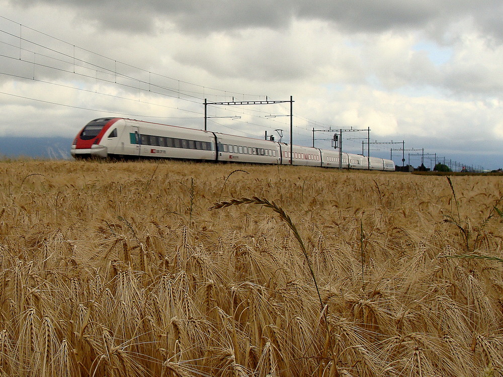 Dans la région agricoles de la Suisse..01