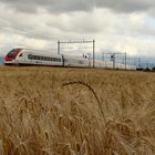 Dans la région agricoles de la Suisse..01