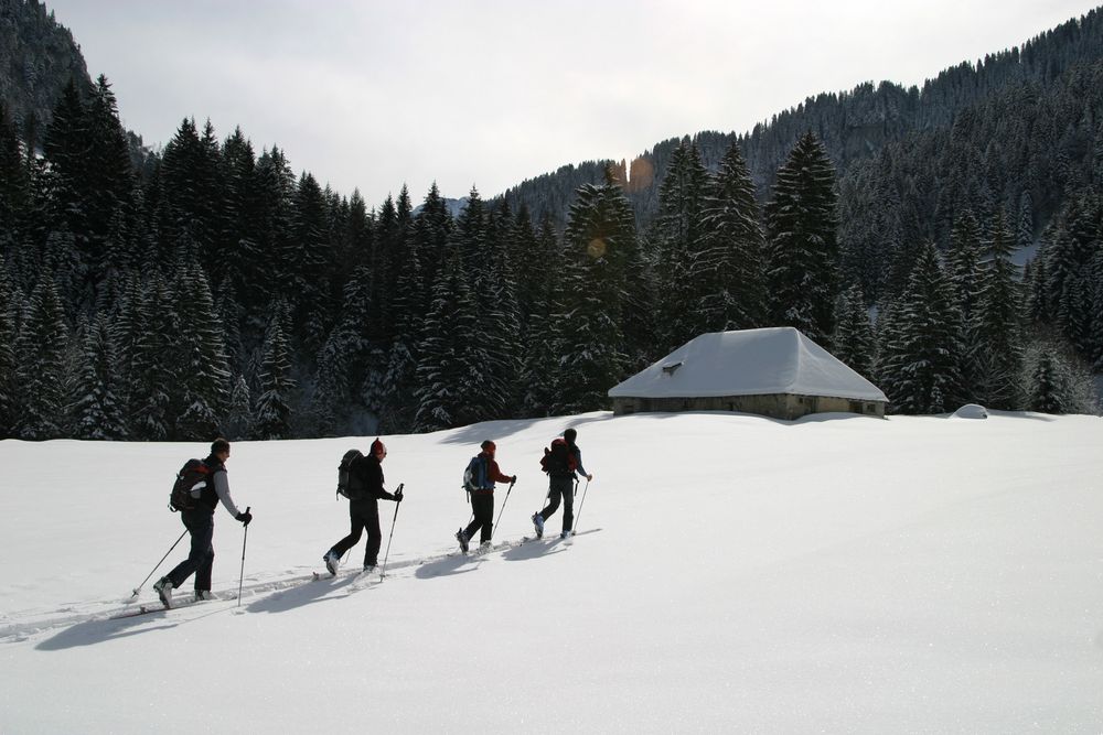 dans la région du lac de l'hongrin (suisse)