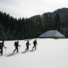 dans la région du lac de l'hongrin (suisse)