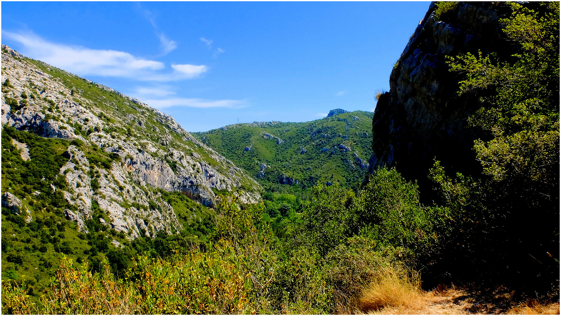 Dans la Sainte-Baume