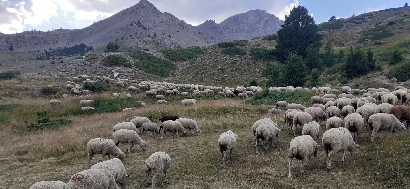 dans la vallée 