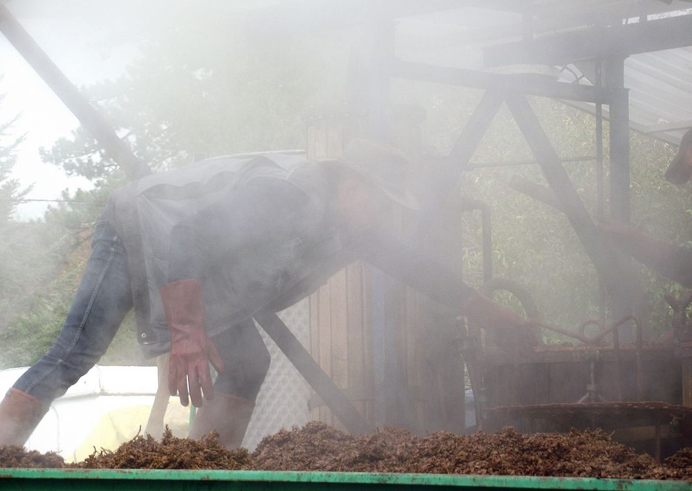 DANS LA VAPEUR DE L ALAMBIC