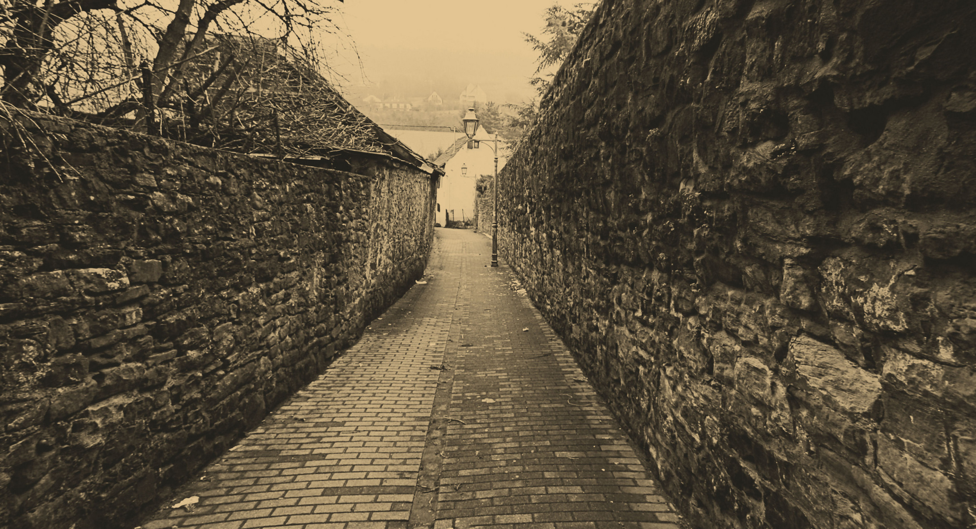 dans la vieille ruelle